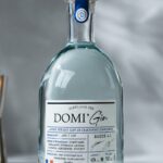 DOMI'GIN
