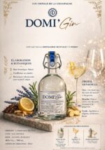 DOMI'GIN – Image 2